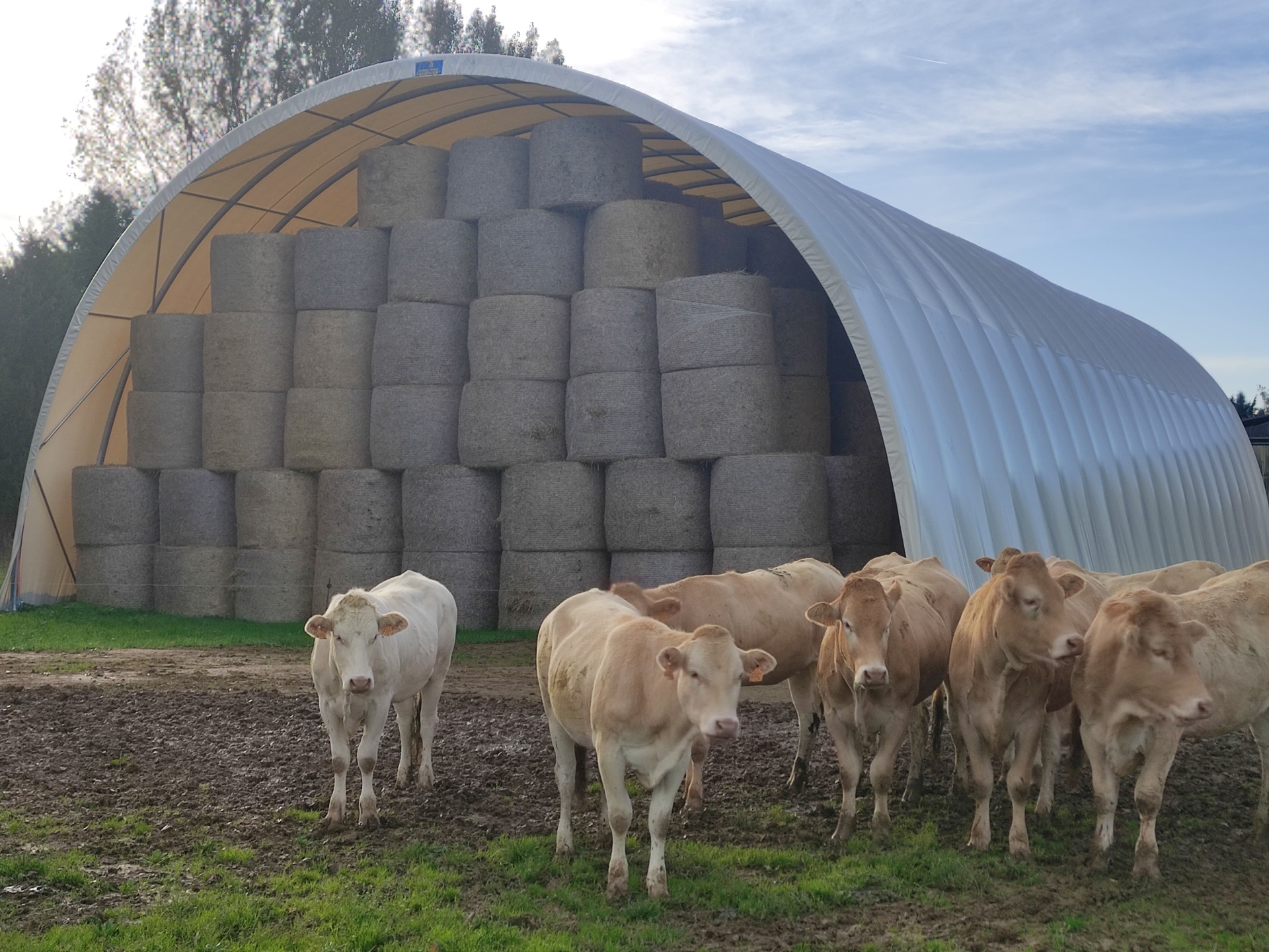 Landwirtschaftliche Hallen